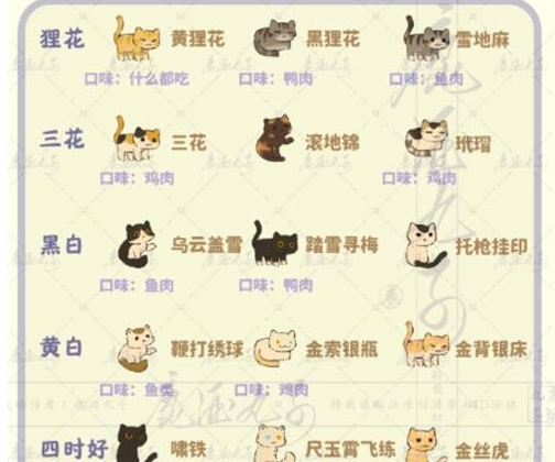 桃源深处有人家给猫挖宝